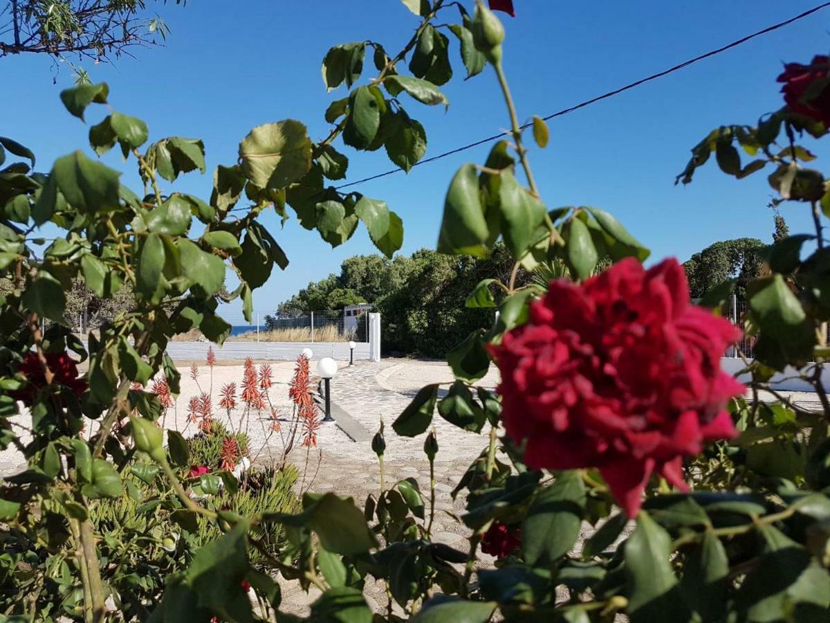 Villa Fantasea Plimmiri Zewnętrze zdjęcie